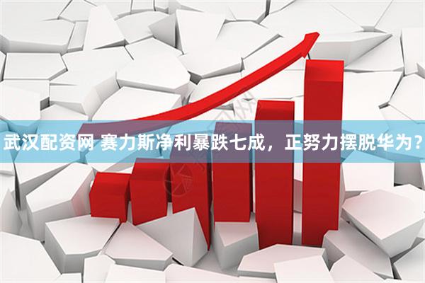 武汉配资网 赛力斯净利暴跌七成，正努力摆脱华为？